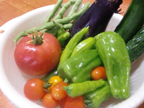 永田農法で栽培